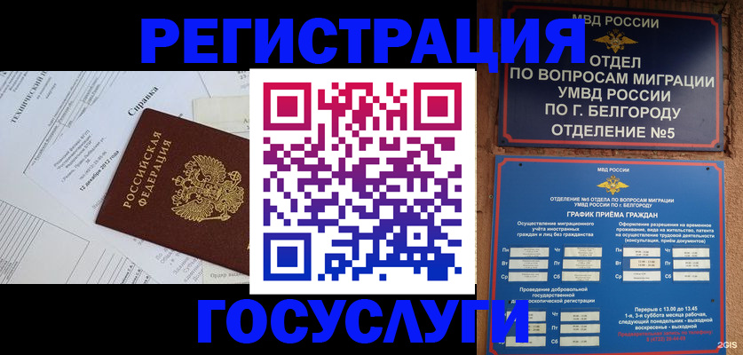 временная прописка в Мурино